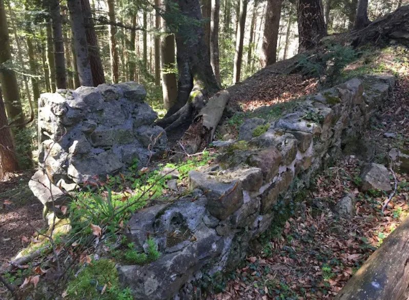 Ruine Hochaltstätten, Switzerland